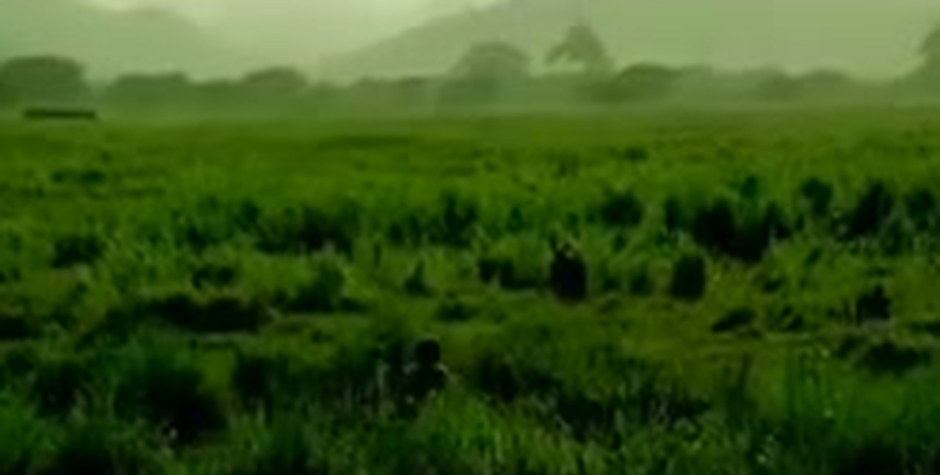 Scene from The Wind Journeys
