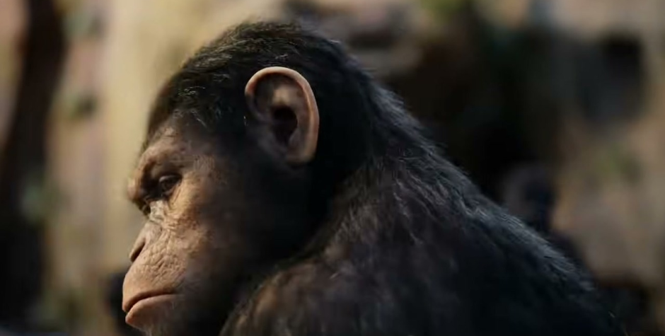 Caesar in Rise of the Planet of the Apes