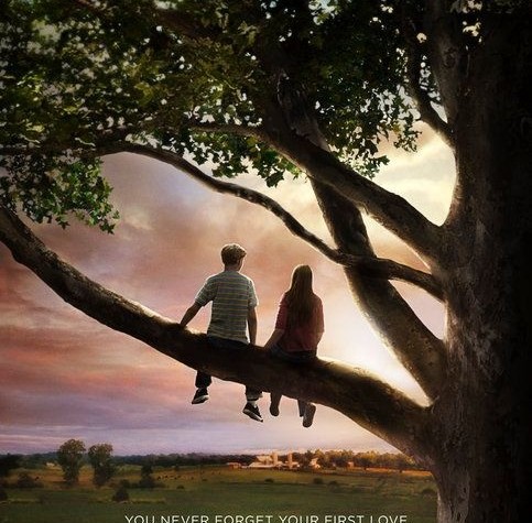 Flipped (Movie Review)