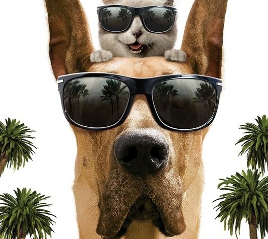 Marmaduke (Movie Review)