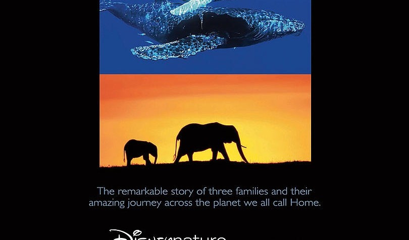 Earth (Movie Review)