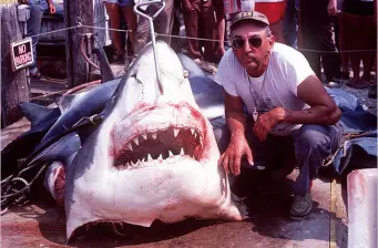Man squats beside a huge caught shark showing open mouth and teeth