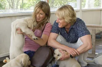 a woman and man sitting indoors playing with four puppies