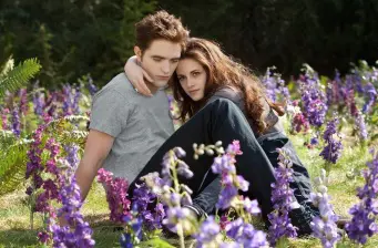 Two young actors sit closely in a flower field, one in grey shirt