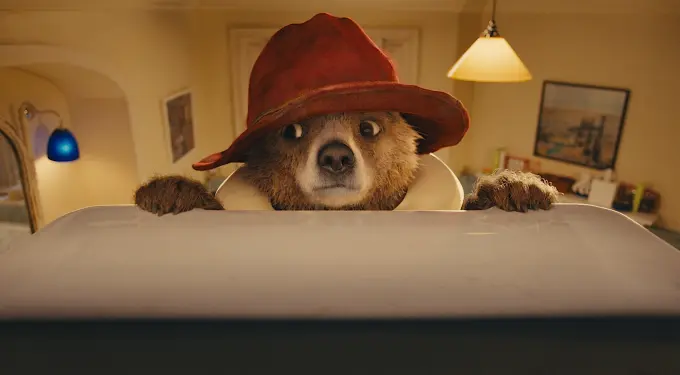 Paddington Bear in red hat peeks over counter indoors