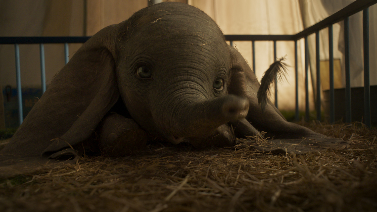 New Trailer! Disney’s Live-Action ‘Dumbo’ Makes Its Official Debut